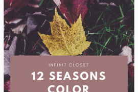 12 Seasons Color Analysis